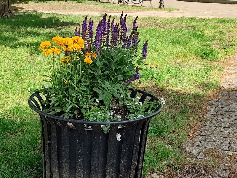 Northend, Providence, TI